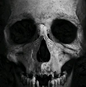 Meet your Posher, Dominic